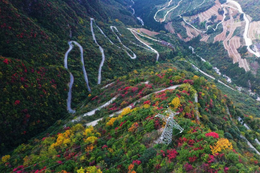 【城市遠洋帶圖】重慶巫山：初冬下莊 風景如畫