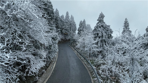 重慶彭水摩圍山千林挂霧凇