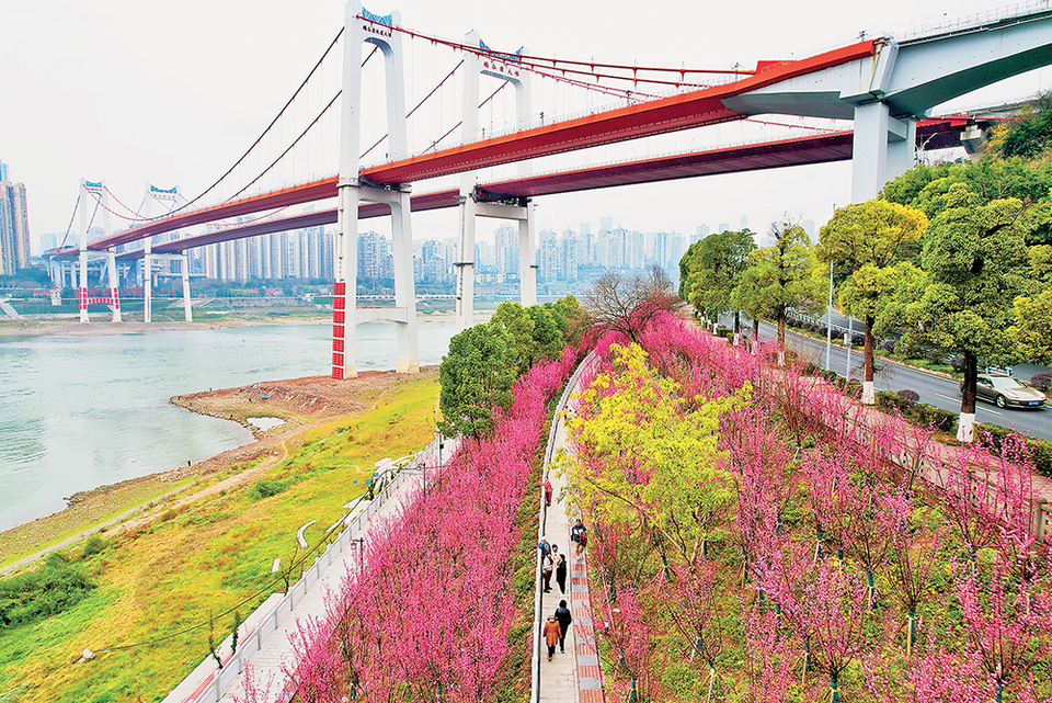 【城市遠洋】重慶南岸區：江灘公園生態好