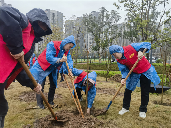 中建三局志願者義務植樹 為重慶添新綠_fororder_圖片1