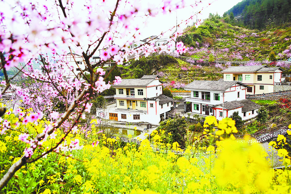 重慶黔江：土家古寨 美麗鄉村