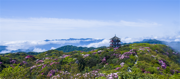 重慶：“金佛山·福南川”全球行銷推廣活動第二站走進江蘇南京_fororder_圖片2