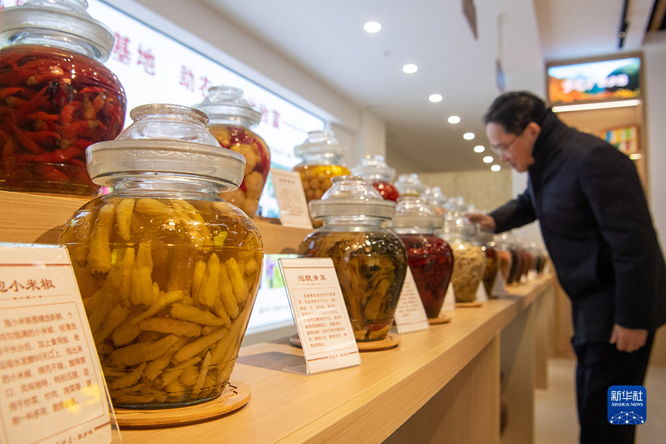 【城市遠洋】“有詩有橙有遠方”——“詩橙”奉節走出農文旅綠色蝶變新路