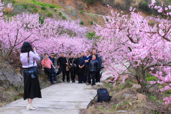 【原創】重慶奉節“鶴峰鄉第十屆桃花節暨消費幫扶季”系列活動開幕_fororder_圖片3(1)