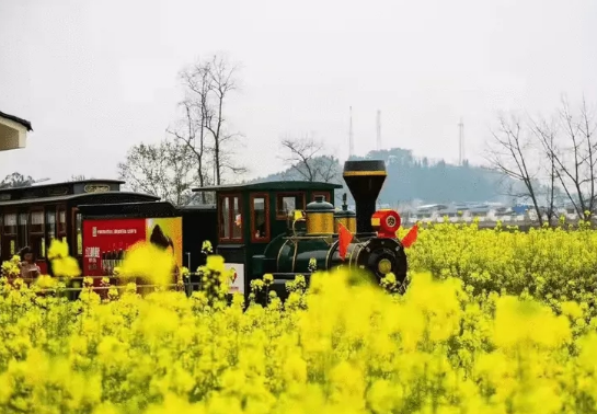 【原創】重慶推出200余項春季文旅活動_fororder_微信圖片_20230320114509