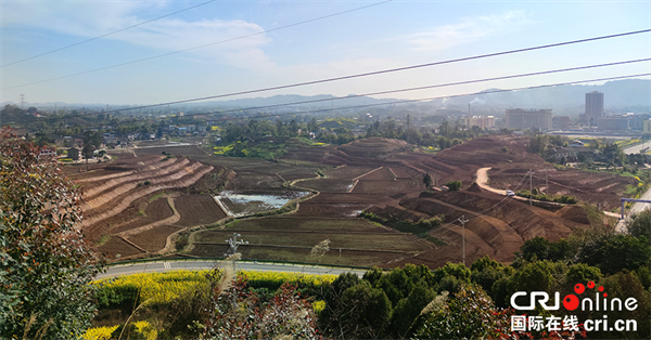 重慶墊江：丘陵山區高標準農田整治 激活鄉村振興市場主體_fororder_圖片1