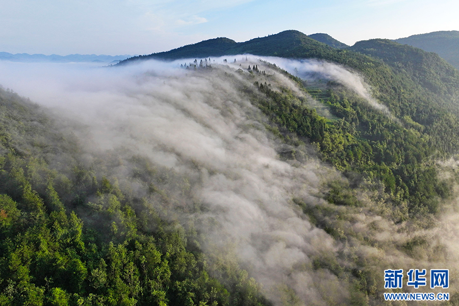 重慶：八月裏雲海流瀑 瞰群山如畫