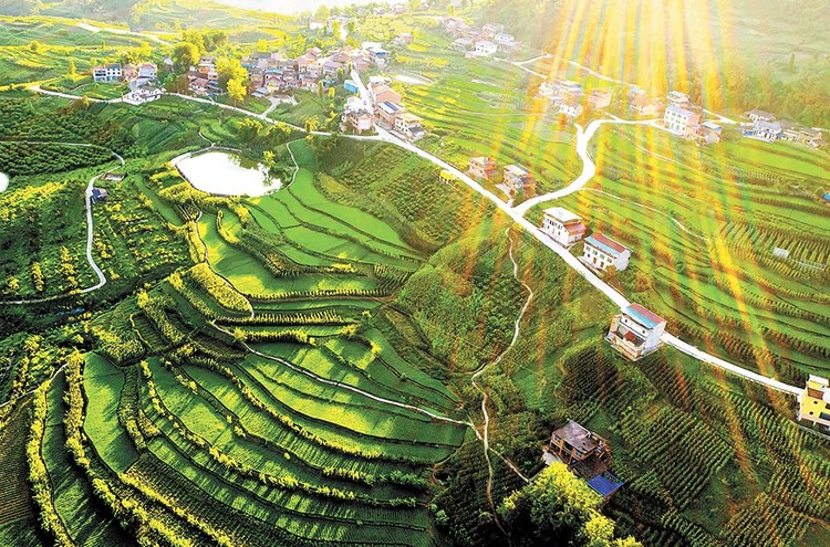 重慶忠縣： 高山上的彩色畫卷