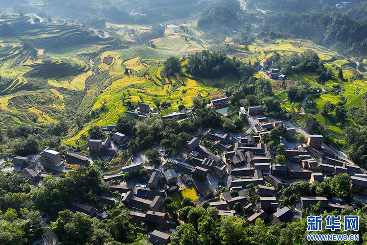 重慶：萬畝梯田如畫卷 巴渝山鄉好“豐”景