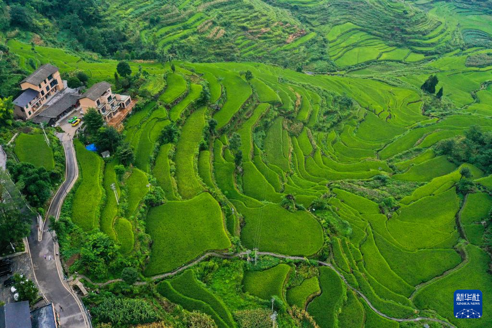 重慶酉陽：農文旅融合讓鄉村煥發新活力