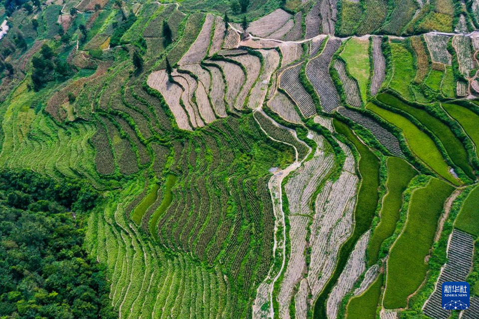 重慶酉陽：農文旅融合讓鄉村煥發新活力