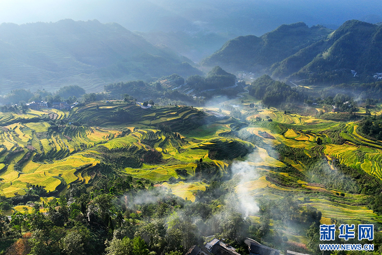 重慶：萬畝梯田如畫卷 巴渝山鄉好“豐”景