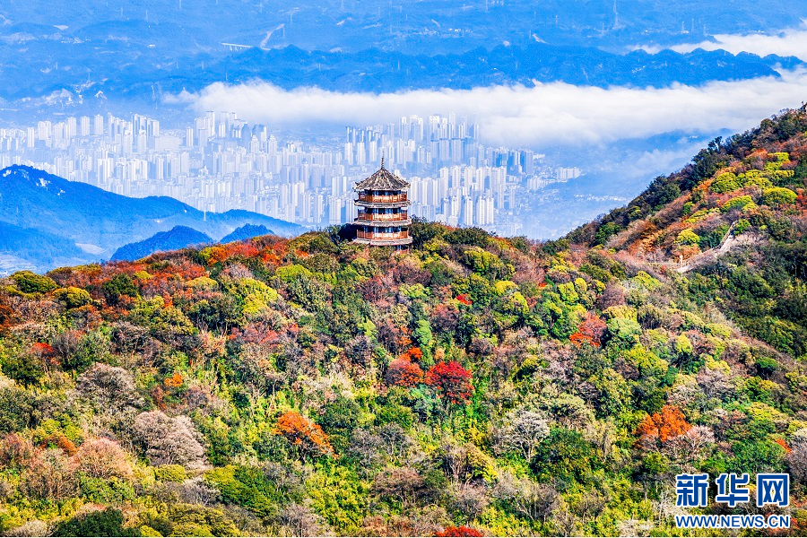 重慶南川：金佛山彩林如畫