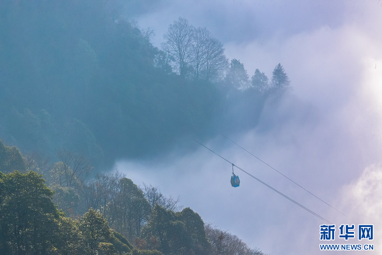 重慶南川：金佛山冬日雲海