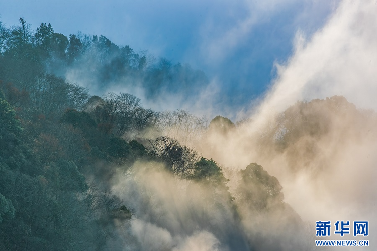 重慶南川：金佛山冬日雲海