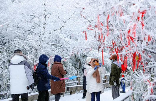 重慶南川：登高祈福賞瑞雪  熱鬧民俗賀新春_fororder_微信圖片_20240205160229