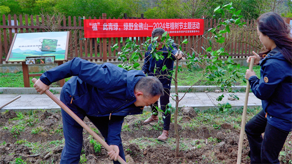 “植”此青綠 重慶金佛山國家級自然保護區植樹忙_fororder_圖片6