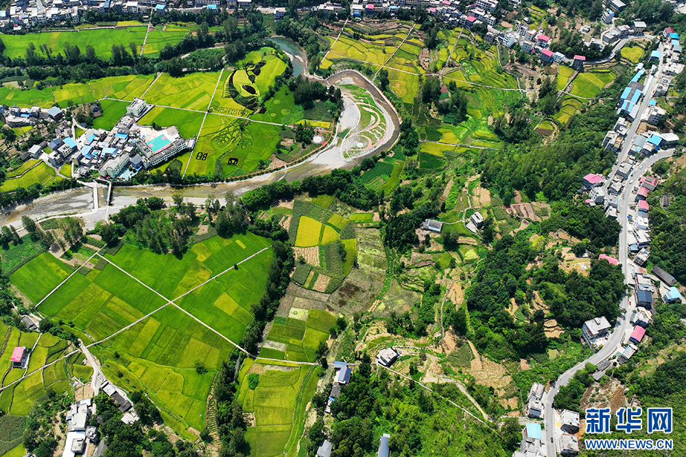 重慶酉陽：江山如畫 田園如歌