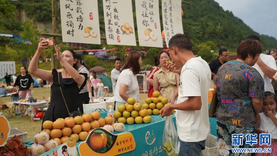 重慶巫山：小小秋月梨長成鄉村振興“金果果”