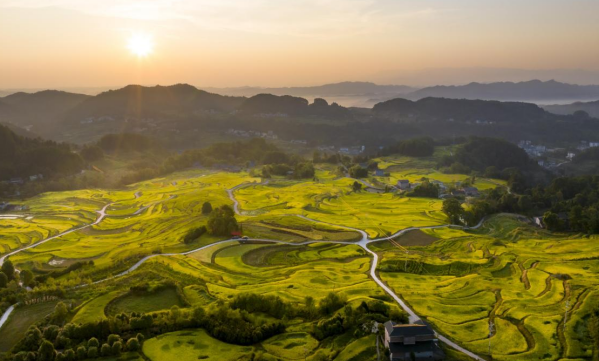 重慶巴南：雲端梯田“豐”景如畫_fororder_微信圖片_20240909144939