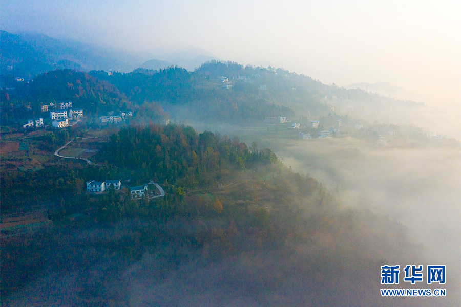 煙雲如畫！巫溪這個村子好美