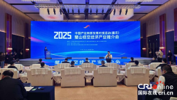 重慶璧山低空經濟産業推介會繪就産業合作藍圖