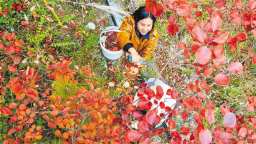 重慶巫山：精美葉雕“雕”出紅火生活