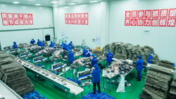 重慶彭水多舉措促進城鎮新增就業