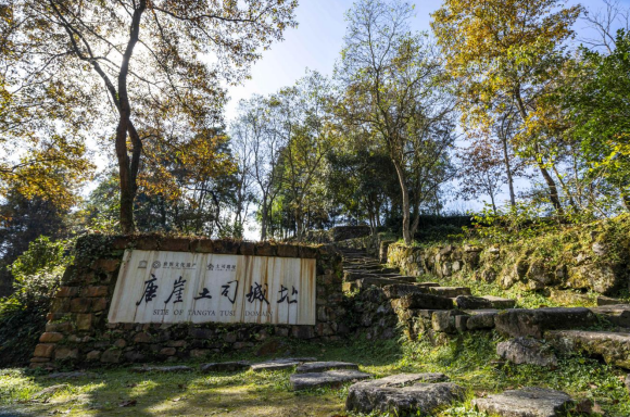 重慶高校40位國際青年集結湖北咸豐 搭建文明互鑒新橋梁_fororder_微信圖片_20250509132601