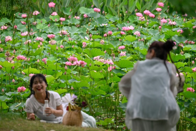 重慶：早荷初綻 市民打卡享愜意生活