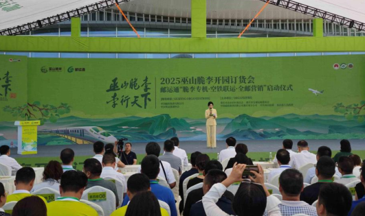 重慶巫山脆李開園上市 “水陸空”立體交通網絡助力銷全國_fororder_微信圖片_20250705165635