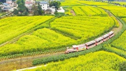 重慶：2026年潼南油菜花節啟幕