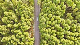 重慶：升級一條鄉村公路 暢通三大避暑景區