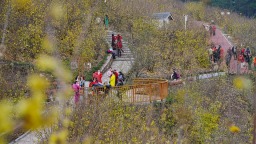 重慶北碚：蠟梅全産業鏈賦能鄉村振興 激發美麗鄉村新活力