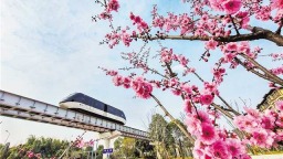 重慶交通正“向綠而行”
