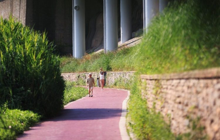 重慶兩江四岸添新景 沙濱路中渡口碼頭景觀平臺建成開放