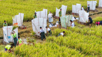 巴渝豐收年 農民樂開顏 重慶市2025年中國農民豐收節在忠縣啟幕
