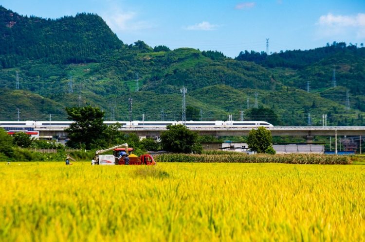重慶：鄉韻更濃郁 鄉土更青春