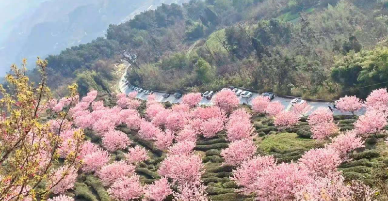 重慶市江津區春季鄉村旅遊盛宴啟幕 多鎮聯動推出豐富文旅活動_fororder_圖片2