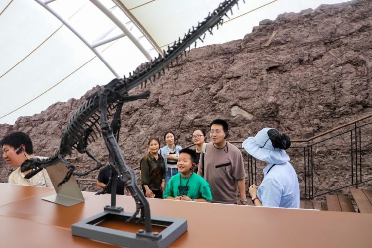 世界地質公園“金字招牌”引客 重慶雲陽遊客接待量和旅遊收入增幅均超20%