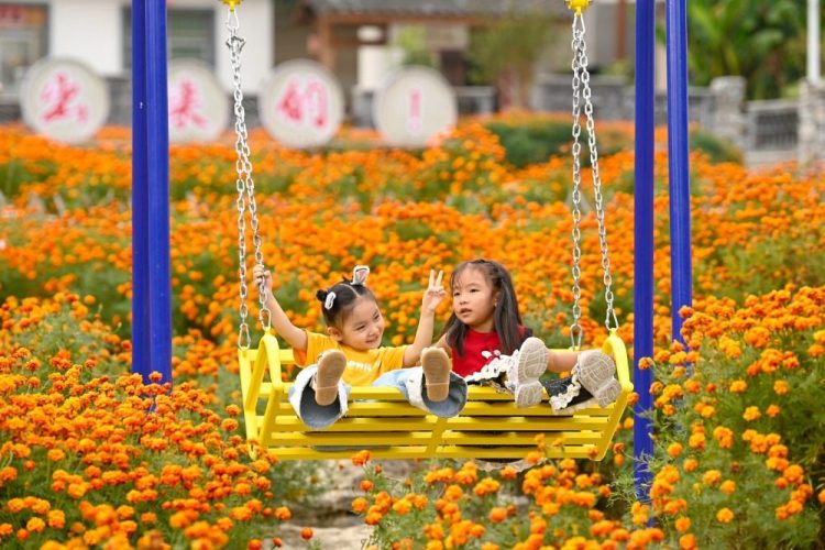 重慶酉陽：鄉村花海醉遊人