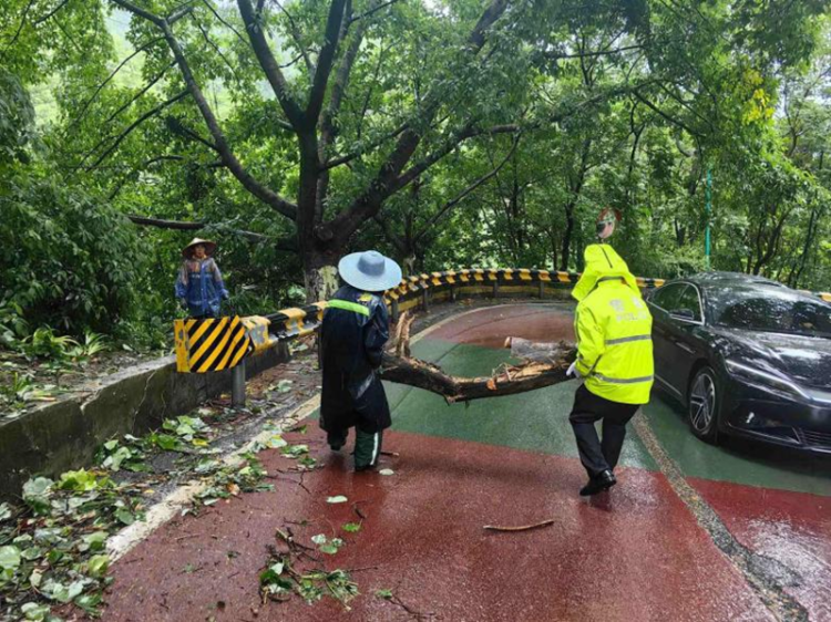 重慶交警全力保暢 “雨”你同行_fororder_圖片2