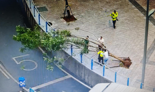 突降暴雨 重慶兩江公安民警無懼風雨疏堵保暢護平安_fororder_微信圖片_20250709150109