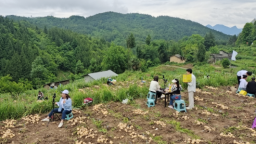 重慶巫山：特色農業産業助力農民增收 托起鄉村振興新希望
