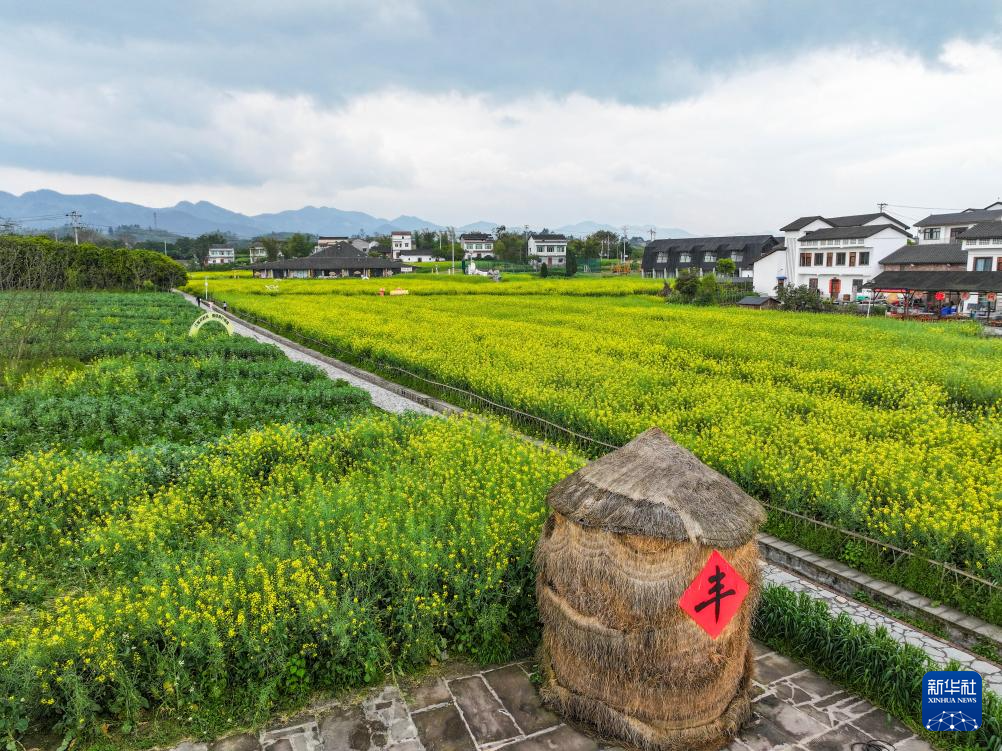 重慶璧山：“田園花朝節”引客來
