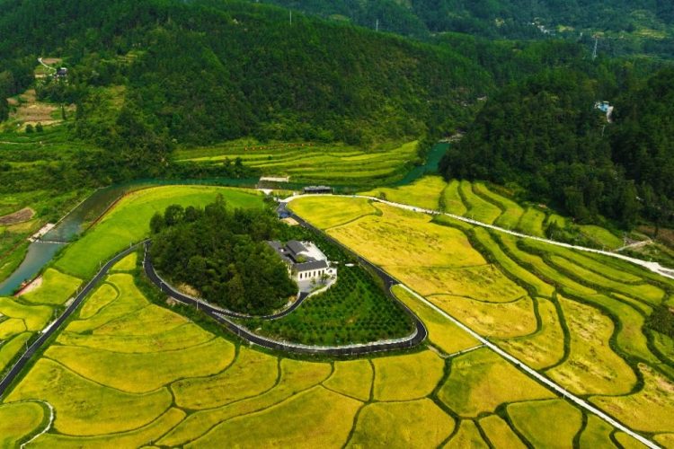 重慶黔江：水美鄉村秋色濃