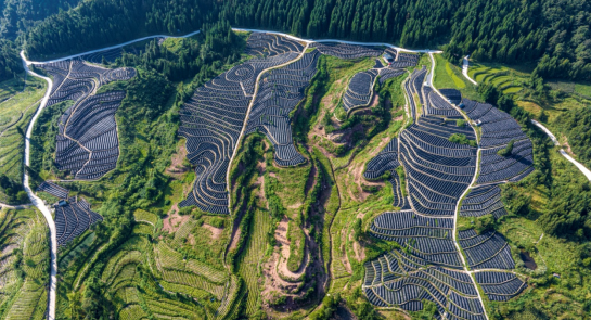 中國·重慶黃連産業高品質發展大會將於8月28日至29日在石柱縣舉行_fororder_微信圖片_20250825162016