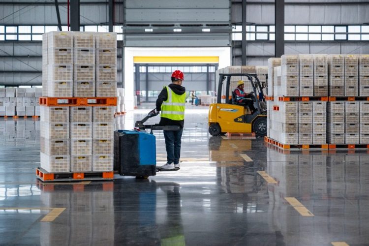 重慶潼南：應季檸檬加工開啟“加速鍵”