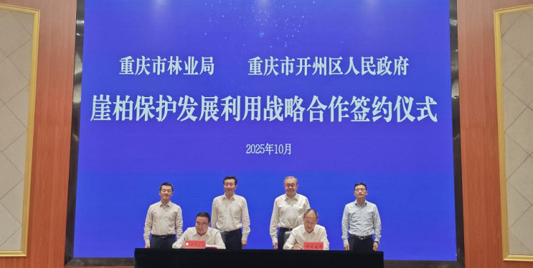 重慶市林業局與開州簽訂崖柏保護髮展利用戰略合作_fororder_mmexport1760941512051