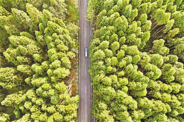 重慶：升級一條鄉村公路 暢通三大避暑景區